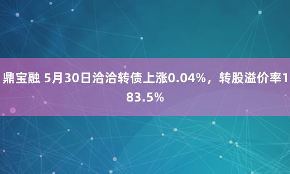 鼎宝融 5月30日洽洽转债上涨0.04%，转股溢价率183.5%