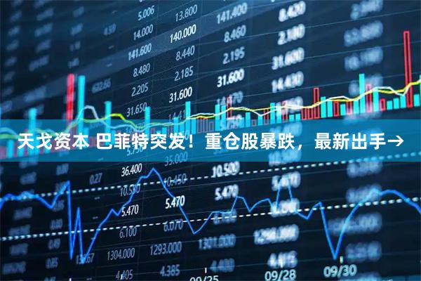 天戈资本 巴菲特突发！重仓股暴跌，最新出手→