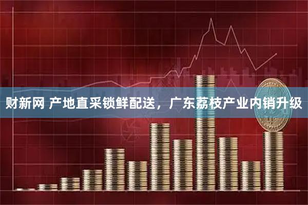 财新网 产地直采锁鲜配送，广东荔枝产业内销升级