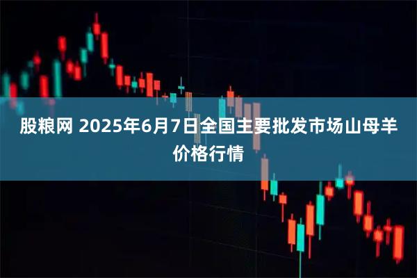股粮网 2025年6月7日全国主要批发市场山母羊价格行情