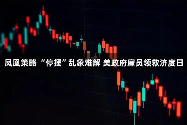 凤凰策略 “停摆”乱象难解 美政府雇员领救济度日
